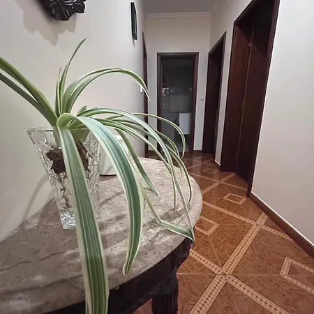 Mendes - Ocean View * Arco da Calheta (Madeira)