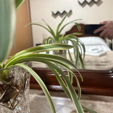 Mendes - Ocean View * Arco da Calheta (Madeira)