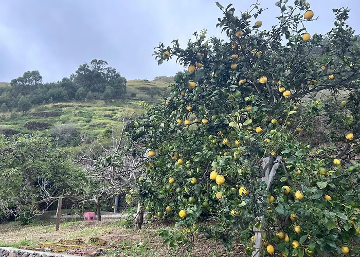 Mendes - Ocean View בית נופש ארקו דה קלחטה