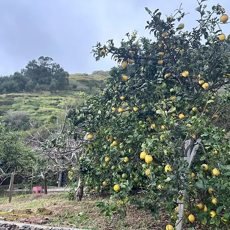 Mendes - Ocean View Σπίτι διακοπών Arco da Calheta (Madeira)