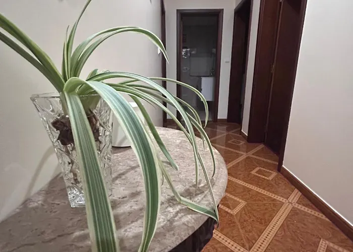 Mendes - Ocean View * Arco da Calheta (Madeira)